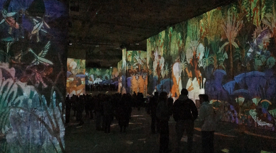 浴びる美術館 - 南仏の美術館 -