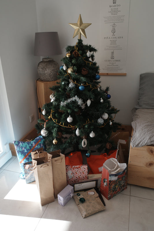 帰ってきたのは、思い出じゃなくて心だった -南仏のクリスマス-