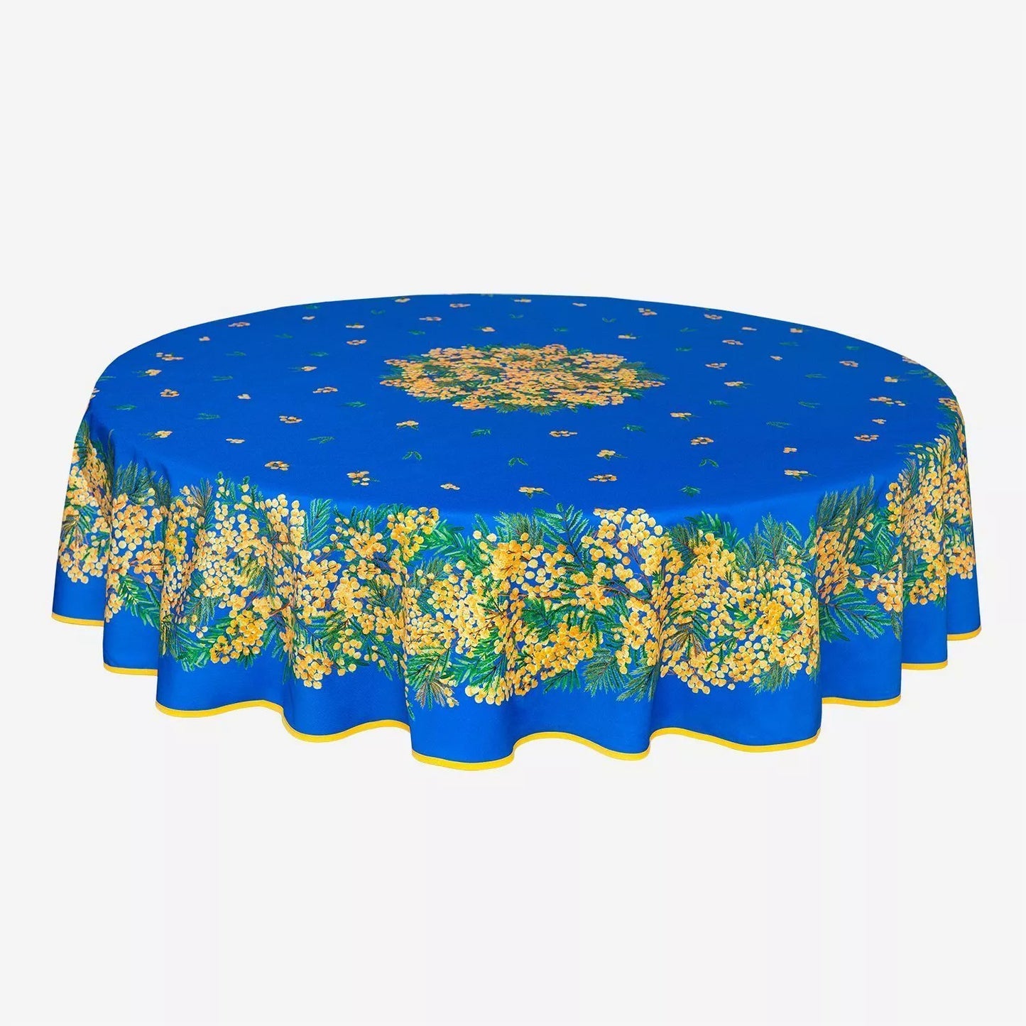 Mimosa Bleu